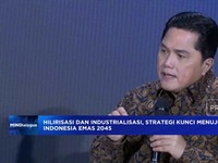 Video: Soal Hilirisasi, Erick Thohir Minta Jalankan Sesuai Proporsi