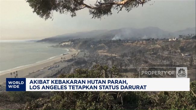 Video: Kebakaran Hutan Parah! Los Angeles Umumkan Status Darurat