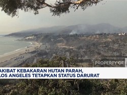 Video: Kebakaran Hutan Parah! Los Angeles Umumkan Status Darurat