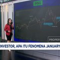 Video: Diburu Investor, Apa Itu Fenomena January Effect?