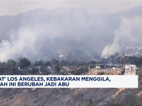 Video: Kebakaran Hebat LA, 10 Tewas - Rumah Artis Hollywood Jadi Abu