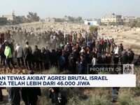 Video: Korban Tewas Agresi Brutal Israel ke Gaza Tembus 46 Ribu Jiwa