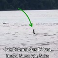 Viral Video Buaya Pura-Pura Tenggelam, Ahli Australia Ungkap Bahayanya