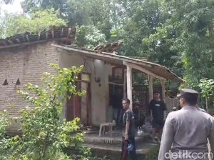 Satu Warga Probolinggo Meninggal Tertimpa Pohon Jati Tumbang