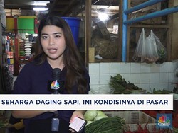 Video: Harga Cabai Rawit Makin Pedas! Ini Kata Pedagang