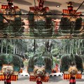 UNESCO Tetapkan Reog Warisan Budaya, Kantor Airlangga Beberkan Efeknya
