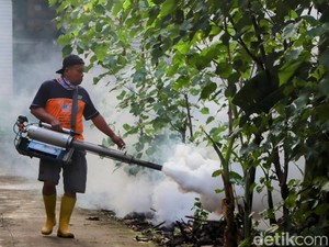 Tren Penyakit DBD di Ponorogo Naik Saat Musim Hujan