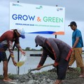 Begini Upaya Nyata BRI Bantu Pulihkan Ekosistem Lingkungan