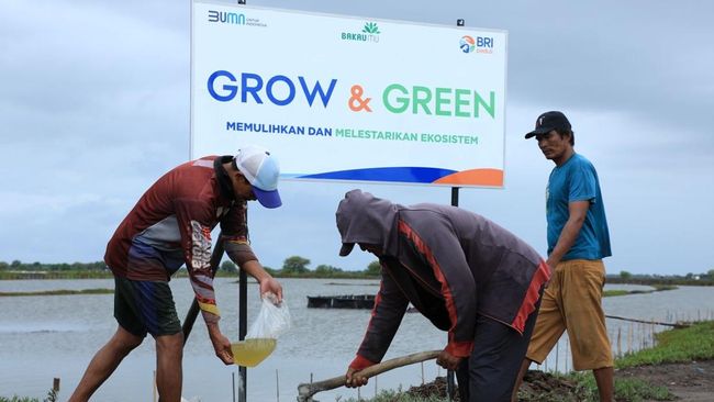 Begini Upaya Nyata BRI Bantu Pulihkan Ekosistem Lingkungan