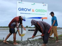Begini Upaya Nyata BRI Bantu Pulihkan Ekosistem Lingkungan