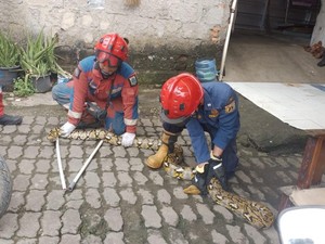 Terungkap Lebih Banyak Laporan Selain Kebakaran Diterima Damkar Jakarta