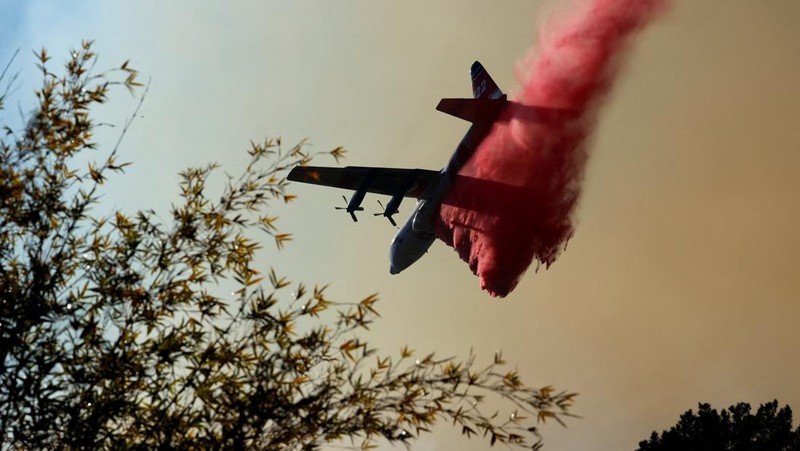 Sebuah pesawat tanker menjatuhkan bahan kimia tahan api di  Los Angeles, California, Amerika Serikat, Sabtu (11/1/2025) waktu setempat. (REUTERS/Ringo Chiu)