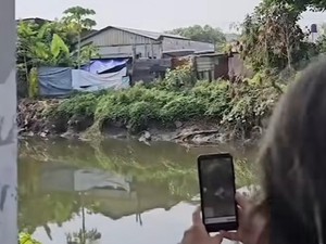 Ada 3 Buaya yang Disebut Kerap Muncul di Sungai Wonorejo Rungkut Surabaya
