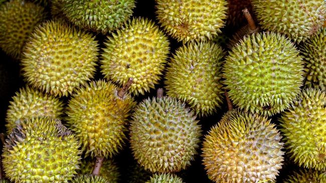 Lagi Vietnam Kalahkan RI, Jadi Raja Duren Asia