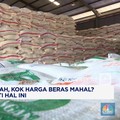 Video : Harga Gabah Murah, Kok Beras Mahal?