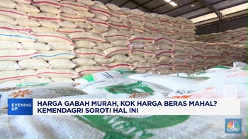 Video : Harga Gabah Murah, Kok Beras Mahal?