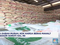 Video : Harga Gabah Murah, Kok Beras Mahal?
