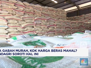 Video : Harga Gabah Murah, Kok Beras Mahal?