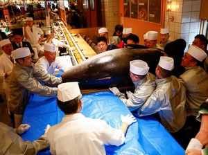 Ikan Tuna Raksasa dengan Harga Fantastis