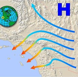 Mengenal Santa Ana, Angin Musim Dingin yang Membakar California