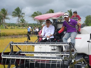 Panen Padi di Banyuasin, Zulhas Tegaskan Bulog Beli Gabah Petani Rp 6.500