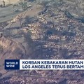 Video: Kebakaran Hutan di Los Angeles Makan Korban 16 Orang Tewas