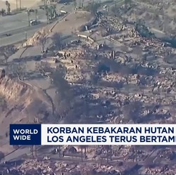 Video: Kebakaran Hutan di Los Angeles Makan Korban 16 Orang Tewas