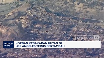 Video: Kebakaran Hutan di Los Angeles Makan Korban 16 Orang Tewas