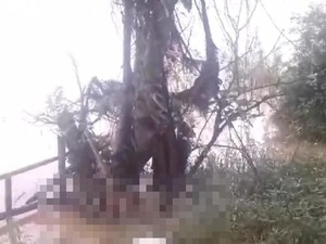 Mayat Pria Tanpa Identitas Ditemukan di Pinggir Sungai Batanghari