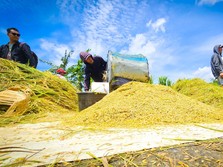 Optimalisasi Ziswaf dalam Mewujudkan Ketahanan Pangan di Indonesia