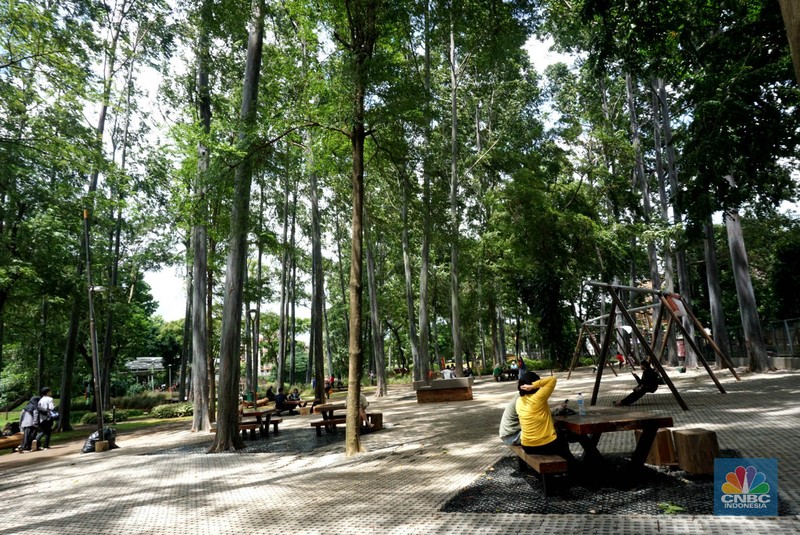 Pengunjung melintas disamping taman yang diberi pembatas di Kawasan Tebet Eco Park, Jakarta, Senin,(13/1/2025). Viral permainan Koin Jagat yang banyak diikuti remaja di Jakarta. Dinas Pertamanan dan Hutan (Distamhut) Kota Provinsi DKI Jakarta memasang pembatas. (CNBC Indonesia/Muhammad Sabki) Pengunjung melintas disamping taman yang diberi pembatas di Kawasan Tebet Eco Park, Jakarta, Senin,(13/1/2025). Viral permainan Koin Jagat yang banyak diikuti remaja di Jakarta. Dinas Pertamanan dan Hutan (Distamhut) Kota Provinsi DKI Jakarta memasang pembatas. (CNBC Indonesia/Muhammad Sabki)