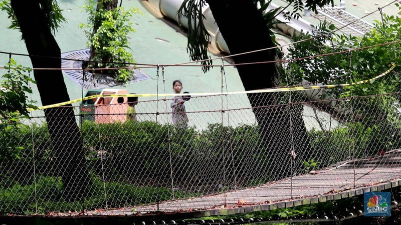 Pengunjung melintas disamping taman yang diberi pembatas di Kawasan Tebet Eco Park, Jakarta, Senin,(13/1/2025). Viral permainan Koin Jagat yang banyak diikuti remaja di Jakarta. Dinas Pertamanan dan Hutan (Distamhut) Kota Provinsi DKI Jakarta memasang pembatas. (CNBC Indonesia/Muhammad Sabki)