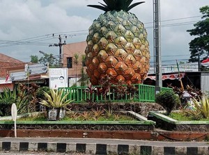 Ribuan Kades Dijadwalkan Hadiri Peringatan Hari Desa di Subang