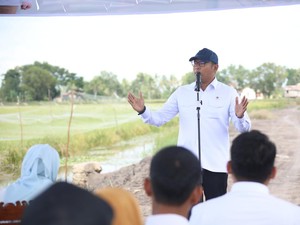 Wamentan: 2 Hari Lagi Bulog Harus Serap Gabah Rp 6.500/Kg