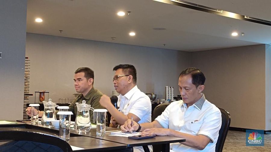 Deputi Bidang Ketersediaan dan Stabilisasi Pangan Bapanas, I Gusti Ketut Astawa saat membuka rapat bersama pemangku kepentingan pangan di Jakarta, Selasa (14/1/2025). (CNBC Indonesia/Martyasari Rizky)