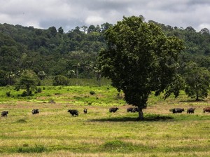 5 Destinasi Romantis di Banyuwangi dengan View Menakjubkan untuk Valentine