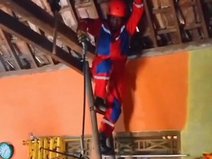 Gagal Mangsa Burung, Ular Kayu di Atap Dievakuasi Damkarmat Gunungkidul