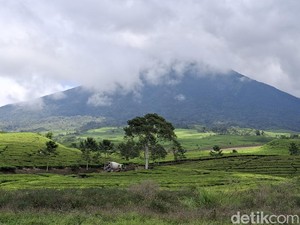Catat! Pendakian ke Gunung Dempo Pagar Alam Ditutup Sementara Selama 2 Bulan