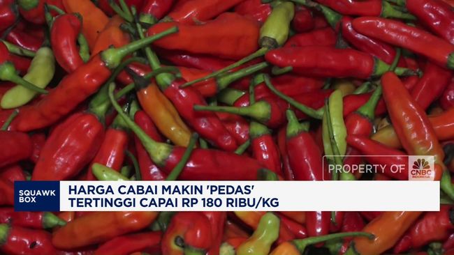 Harga Cabai Makin ‘Pedas’ Tertinggi Capai Rp 180 Ribu/Kg