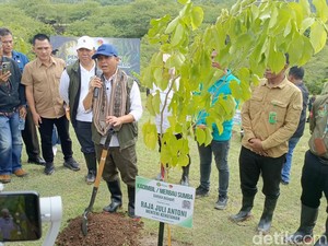 Menhut Raja Juli: Pembangunan Tidak Boleh Berhenti, Hutan Tetap Lestari