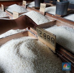 Impor Beras RI Sepanjang 2024 Tembus 4,52 Juta Ton, Ini Pemasoknya!