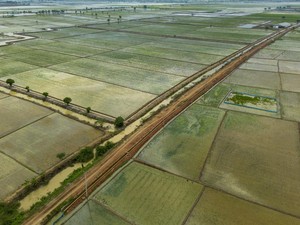 Pemerintah Geber Pembangunan Irigasi buat Kejar Swasembada Pangan
