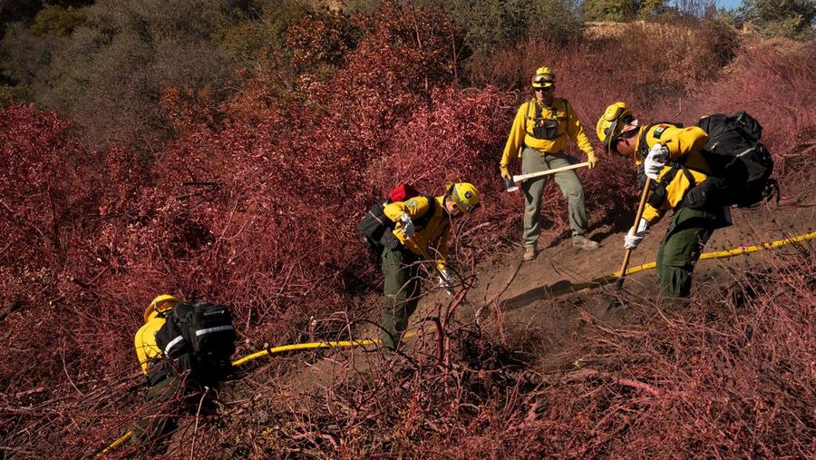 Petugas pemadam kebakaran dari Meksiko memotong garis penahanan di daerah Tarzana selama Kebakaran Palisades di Los Angeles, California, AS, 13 Januari 2025. (REUTERS/David Ryder)