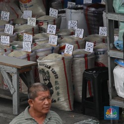 BPS Catat Beras Premium Naik 0,98% di Maret, Jadi Rp13.209 per Kg!