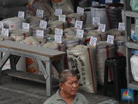 BPS Catat Beras Premium Naik 0,98% di Maret, Jadi Rp13.209 per Kg!