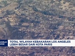 Total Wilayah Kebakaran Los Angeles Lebih Besar dari Kota Paris