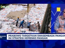 Video: Genjot Produksi Beras Cs,"Kerumitan" Distribusi Pupuk Dipangkas