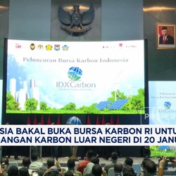 Video: Bursa Karbon RI Bakal Dibuka Untuk Perdagangan Luar Negeri
