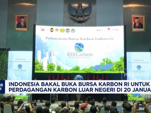 Video: Bursa Karbon RI Bakal Dibuka Untuk Perdagangan Luar Negeri