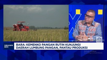 Video: Jurus Pemerintah Setop Impor Beras Cs & Bikin Petani Sejahtera